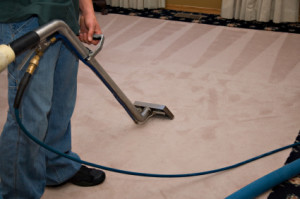 Manapalan Steam Carpet Cleaning