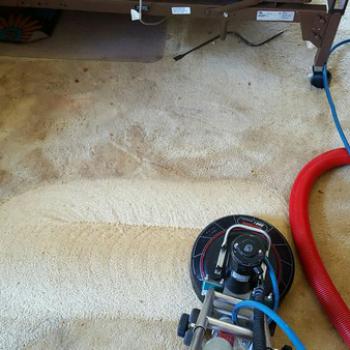 Carpet Cleaning Service in Jackson Township, NJ