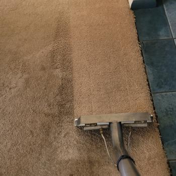 Carpet Cleaning Jackson 0