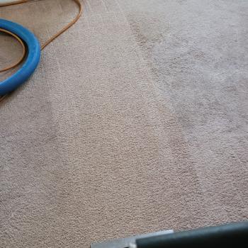Carpet Cleaning Jackson 1