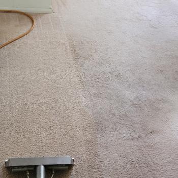 Carpet Cleaning Jackson 4