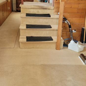 Carpet Cleaning Long Branch 2