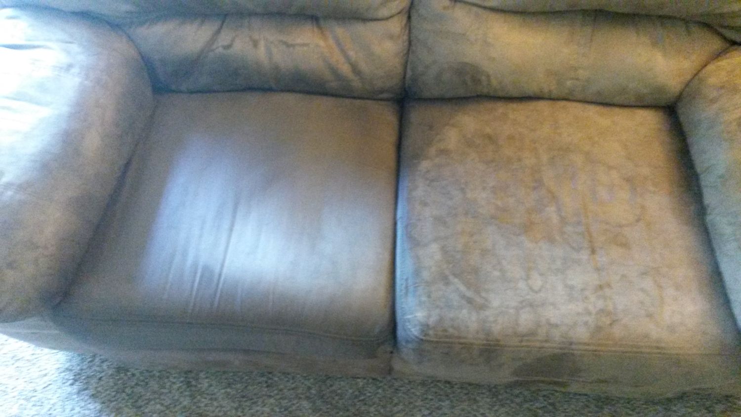 Upholstery Cleaning In Manalapan New Jersey