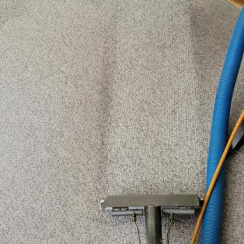 Carpet Cleaning Jackson 3