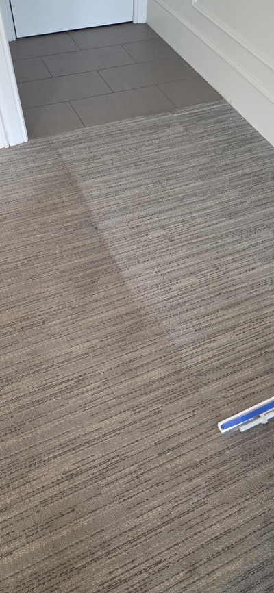Carpet cleaning in red bank nj cover