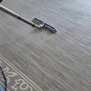 Carpet Cleaning in Red Bank, NJ 07701 0