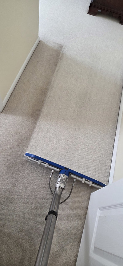 Carpet cleaning in toms river nj cover