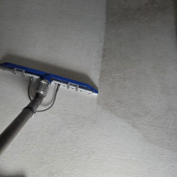 Carpet Cleaning in Toms River NJ 3