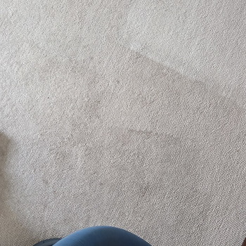 Carpet Cleaning in Toms River NJ 2