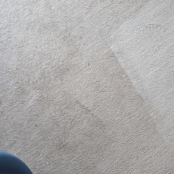 Carpet Cleaning in Toms River NJ 1