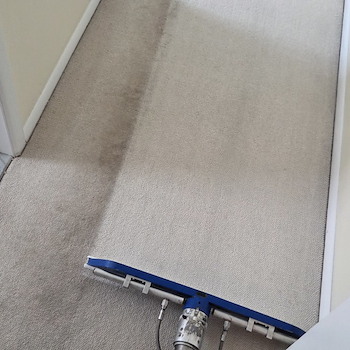 Carpet Cleaning in Toms River NJ 0