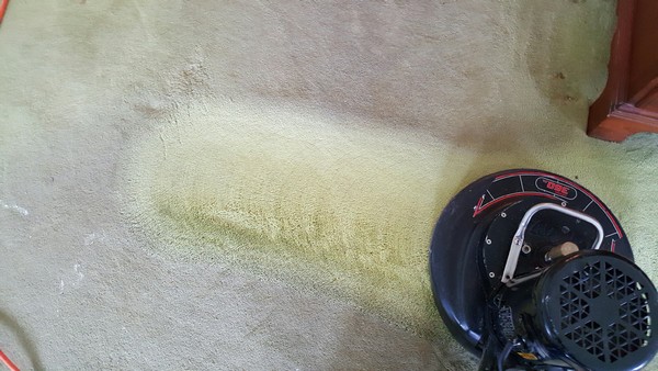 Carpet cleaning service jackson township nj