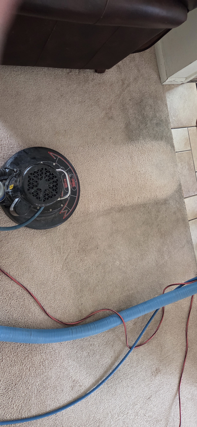 Carpet cleaning services in sea girt nj cover