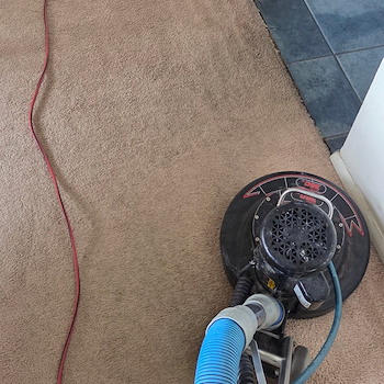 Carpet Cleaning Services in Sea Girt , NJ 0