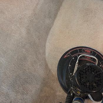 Carpet Cleaning Services in Sea Girt , NJ 1