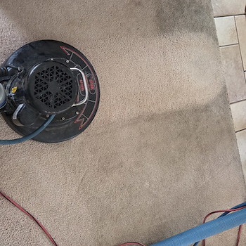 Carpet Cleaning Services in Sea Girt , NJ